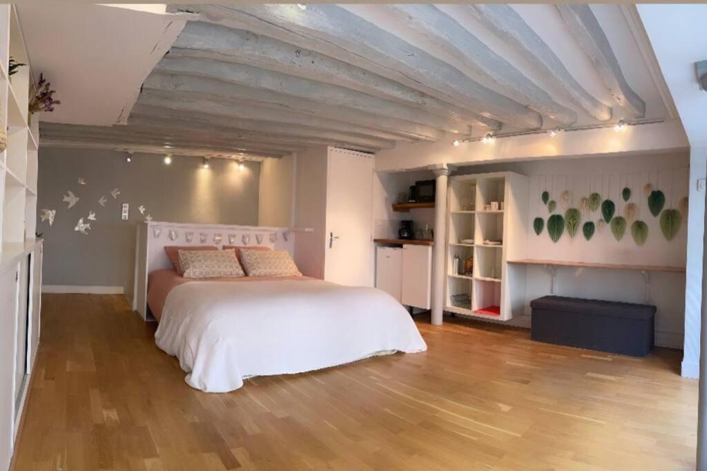 Beau Studio Gare De Lyon Paris Ngoại thất bức ảnh